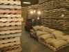 0102-26236-en-cinq-mois-de-campagne-le-cameroun-a-deja-exporte-115-951-tonnes-de-cacao_L.jpg