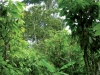 exempleagro7.jpg