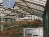 1990 Eden Land Manosque France.jpg