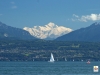 386749_1600.jpg